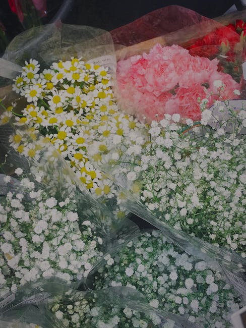 A collection of fresh floral bouquets featuring small white daisies with bright yellow centers, delicate white baby's breath, and pink carnations, arranged in clear wrapping paper. The daisies are clu