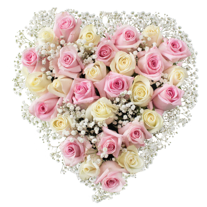 At the centre of this image is a masterfully handcrafted heart-shaped bouquet, inspired by the unique character of South Hackney's floral traditions. Approximately 30-35 roses-each a tender ballet of blush pink and creamy white-form the dense heart, their petals unfolding with soft, velvety curves in various stages of bloom. Touches of pale yellow emerge delicately from the cream roses, offering a subtle warmth that complements the pastel pinks. Interwoven with grace, clouds of baby's breath add a wispy, ethereal brightness, enhancing the arrangement's soft texture and visual depth. Set against a flawless white background, every nuance of colour, structure, and emotional resonance is illuminated, mirroring the quiet elegance of a well-tended Hackney garden. This arrangement symbolizes eternal love and heartfelt tribute, suitable for moments of sympathy in local chapels or meaningful anniversaries celebrated along London Fields or Hackney Road. The bouquet captures both artistry and affection, offering a comforting presence for the significant moments that shape the South Hackney community.