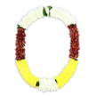 The photograph shows a ceremonial funeral garland in an open oval shape, suspended visually against a pure white backdrop so that its colours and textures stand out with clarity, as if laid out in a calm South Hackney workshop before delivery. The top of the garland is an unbroken arch of snowy white blossoms, tightly threaded in rows, resembling diminutive chrysanthemums or jasmine buds that together form a thick, cloud-like band, gentle and serene. From this white halo, the garland descends on both sides into robust maroon sections, the petals layered and densely packed to create a velvety surface that feels rich, traditional, and thoughtfully solemn. The lower curve is formed from a band of bright yellow flowers, cheerful yet restrained, adding a soft sense of hope and warmth to the composition. Throughout the piece, small groupings of fresh green leaves appear where one colour band melds into the next, acting as natural punctuation marks between white, maroon, and yellow, and lending an organic rhythm to the design. Every part of the garland is evenly filled, suggesting hundreds of carefully handled florets, each one contributing to the overall fullness and symmetry. The lighting is even and neutral, ensuring that shadows do not distract from the floral work, and the white background keeps the focus squarely on the mala's flowing form. It is easy to imagine this garland laid around a photograph in a family home near London Fields, or placed beside offerings in a South Hackney chapel, serving as a tender symbol of honour, farewell, and enduring memory.
